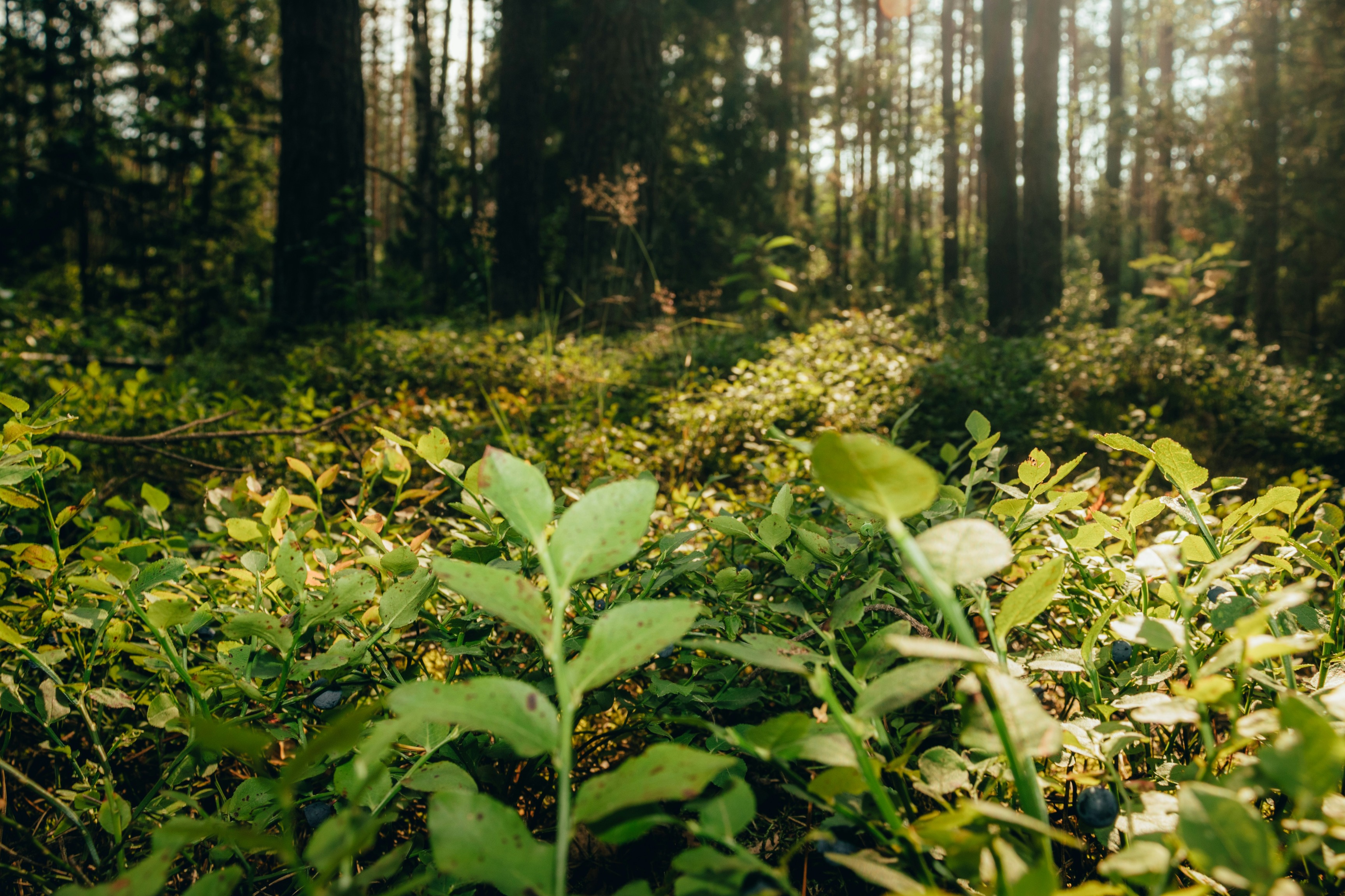 Programa de concienciación socioambiental